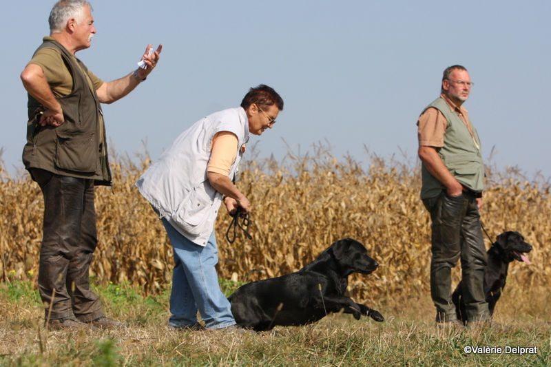 Field Erstein 09 (48).JPG